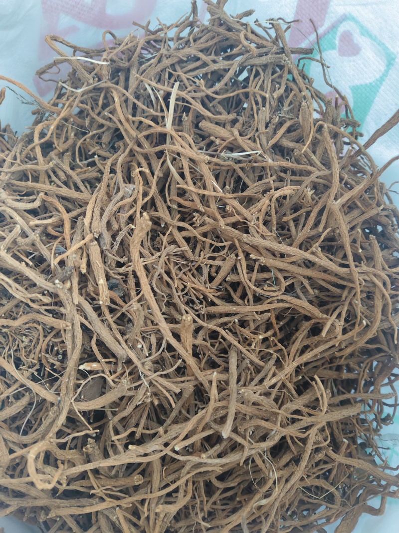 金铁锁，独定子干货