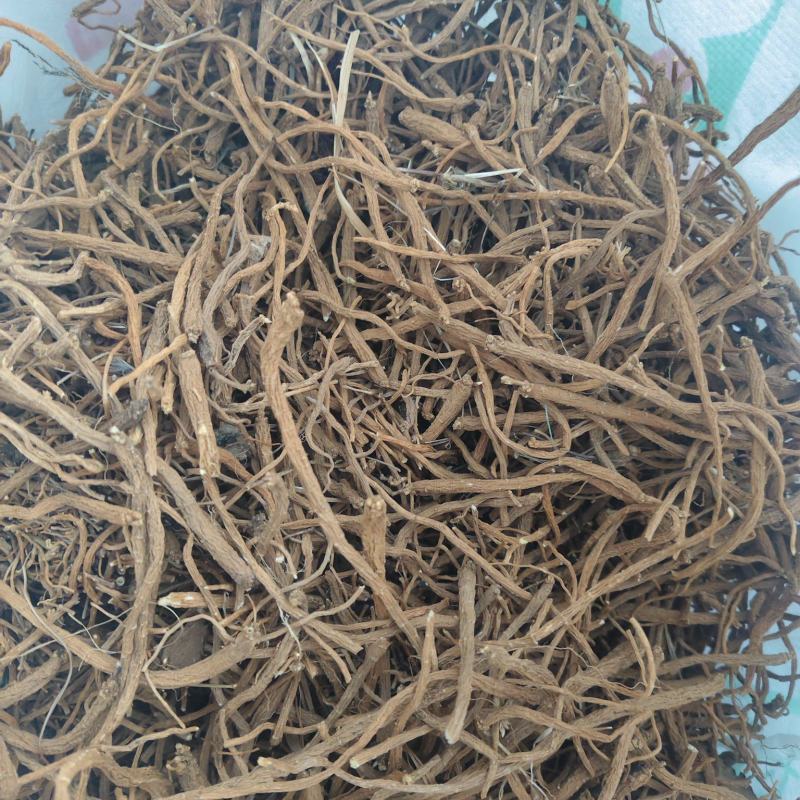 金铁锁，独定子干货