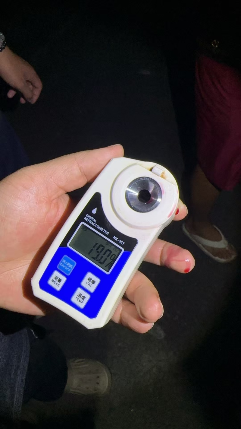 智利海运车厘子Xl-4J一件代发，10斤一件代采