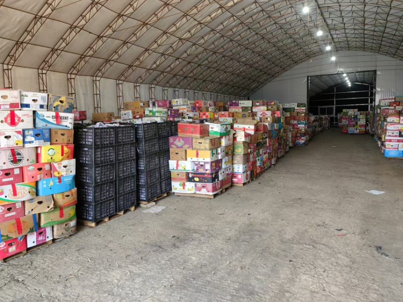 精品红瑶红薯大量上市冰糖心软糯香甜产地直发品质保障