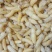 树蜂12级混搭