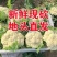 精品有机花大量供应，品质保证，量大从优，欢迎来电