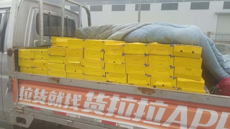铁棍山药礼盒装