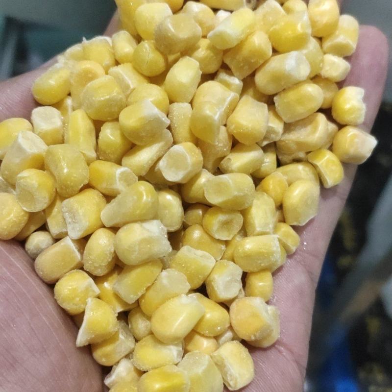 出售速冻甜玉米粒