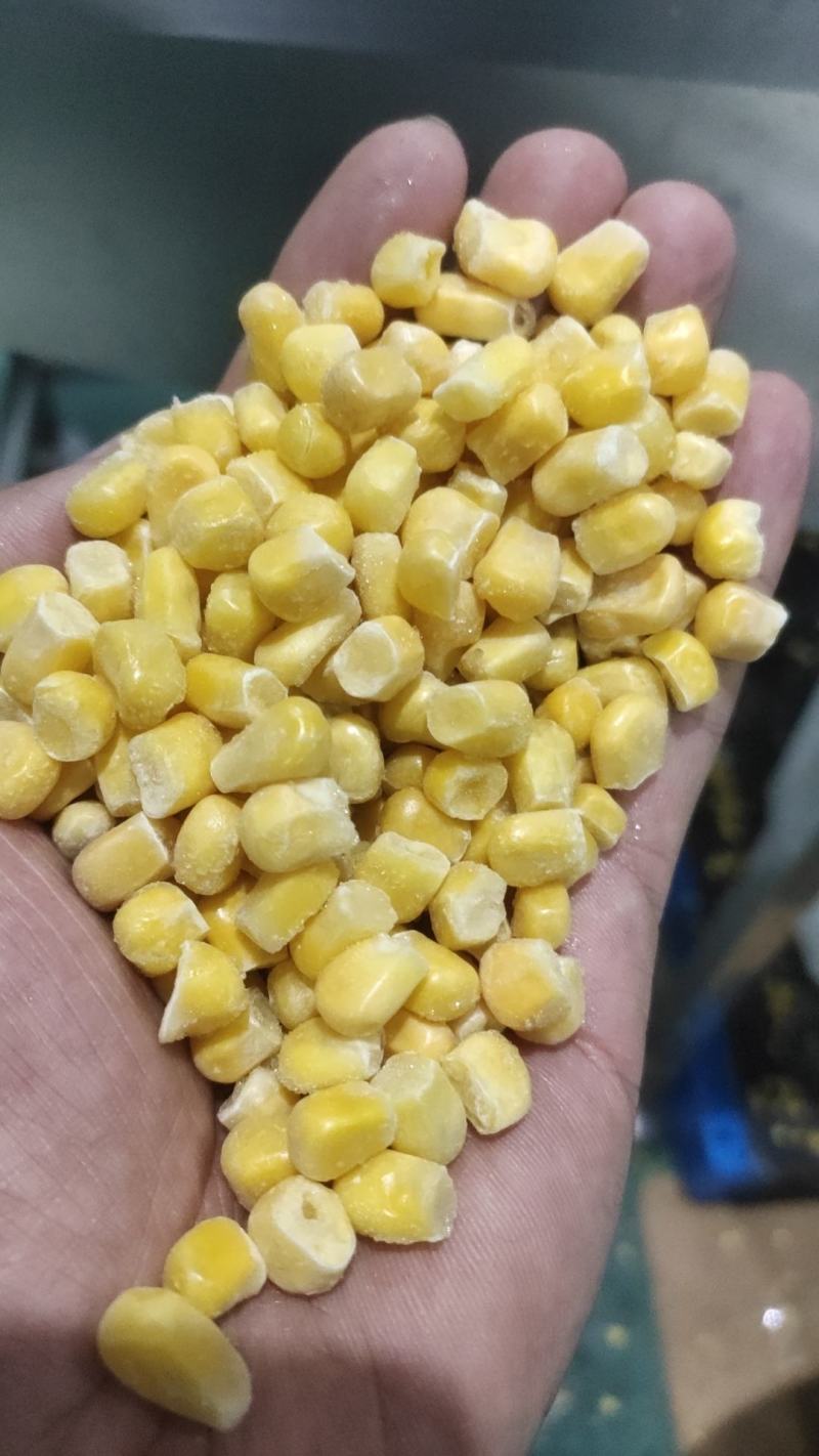 出售速冻甜玉米粒
