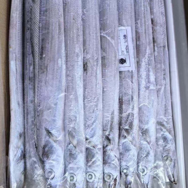 印尼AAA钓带网带阿曼钓带网带质量好价格优