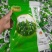 精品带装裙带菜一包100克