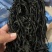 精品带装裙带菜一包100克