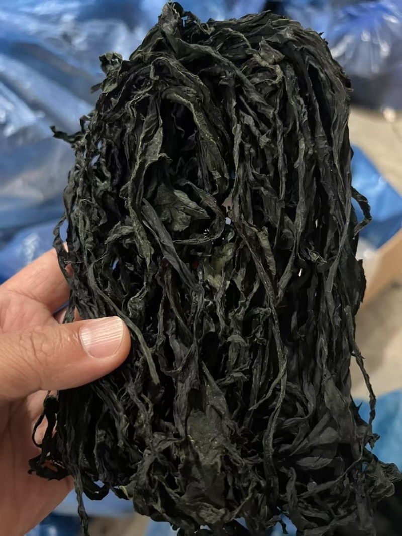 精品带装裙带菜一包100克