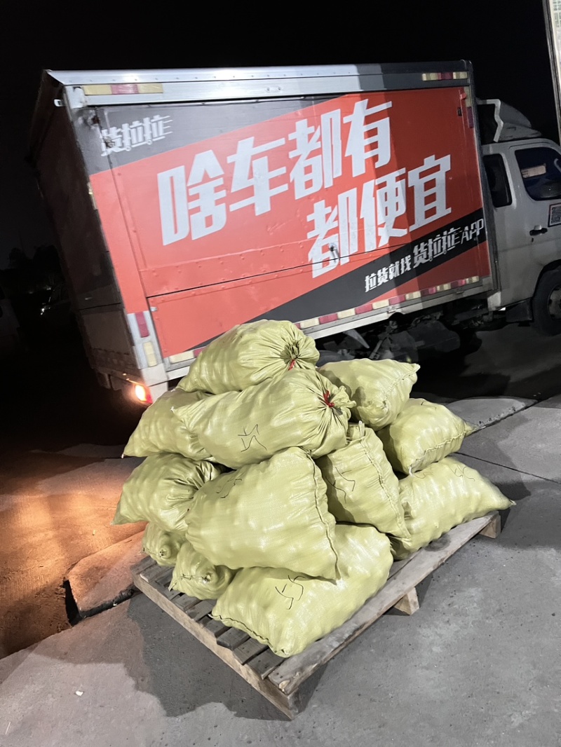 永兴冰糖橙