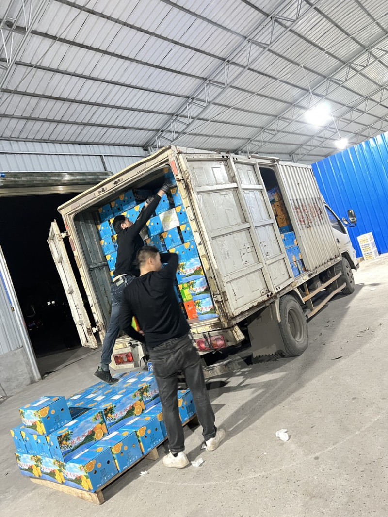 永兴冰糖橙
