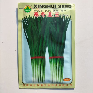 寒冬韭王韭菜种子特耐寒韭菜籽可多次采收四季播阳台盆栽蔬菜