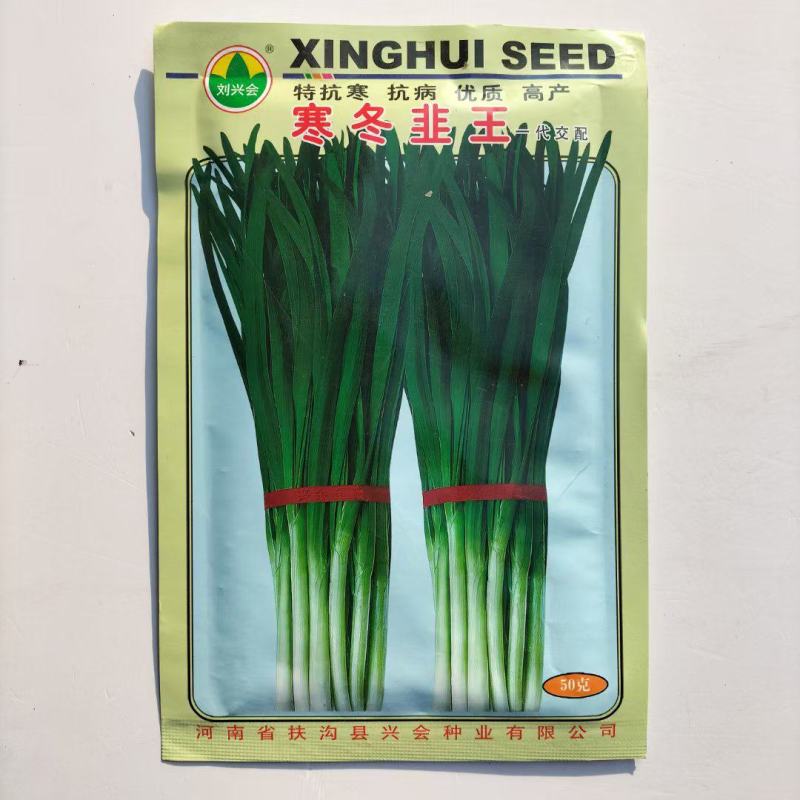 寒冬韭王韭菜种子特耐寒韭菜籽可多次采收四季播阳台盆栽蔬菜