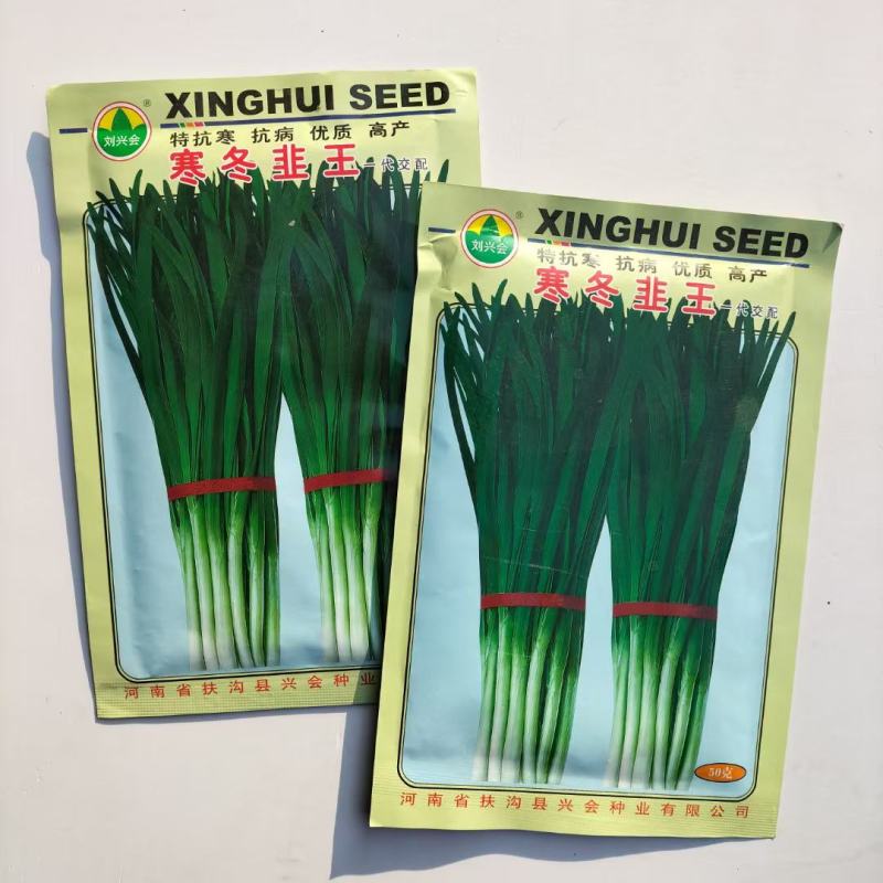 寒冬韭王韭菜种子特耐寒韭菜籽可多次采收四季播阳台盆栽蔬菜