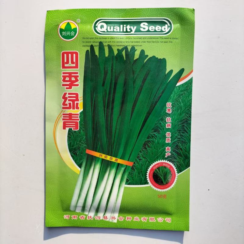寒冬韭王韭菜种子特耐寒韭菜籽可多次采收四季播阳台盆栽蔬菜