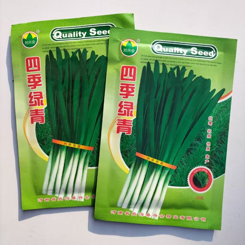 寒冬韭王韭菜种子特耐寒韭菜籽可多次采收四季播阳台盆栽蔬菜