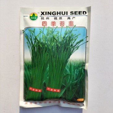 四季苔韭王高产抗病不休眠四季韭苔种子耐寒不休眠多