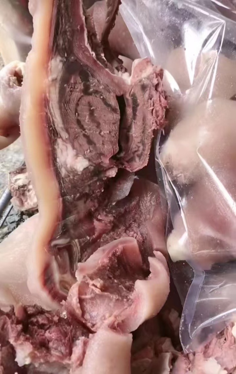 熟牛头肉