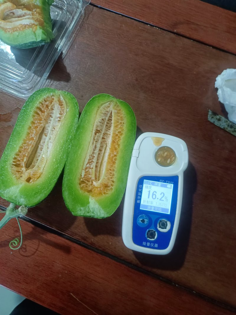 博洋72甜瓜密园十八甜瓜产地量大看棚定货糖度高货多