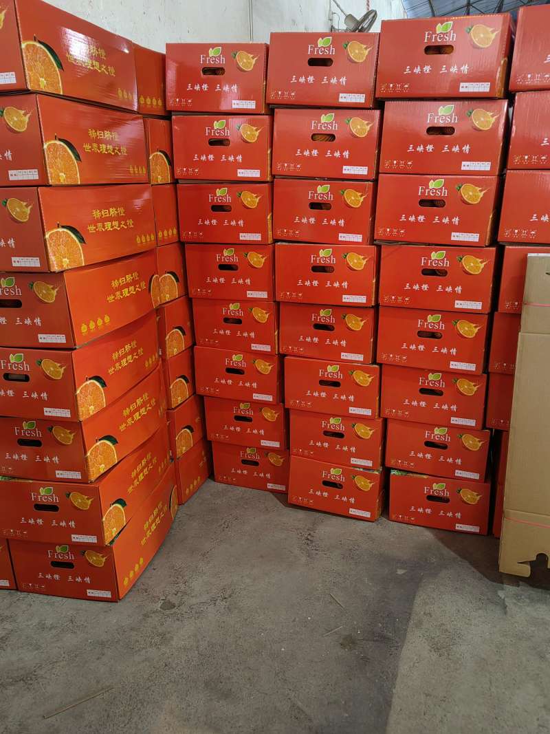 秭归纽荷尔长虹元红脐橙自家基地货源充足看园采果坏包赔