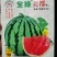 心里美西瓜种子全绿美都甜抗裂八成熟即大红瓤品质丰产