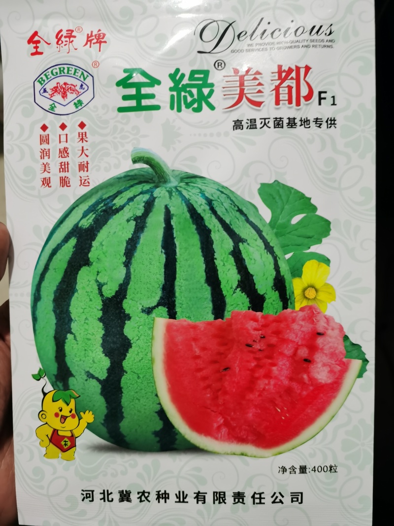 心里美西瓜种子全绿美都甜抗裂八成熟即大红瓤品质丰产