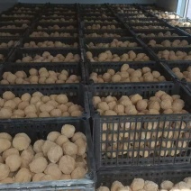 糖心变蛋无铅松花蛋黄色速成鸡皮蛋厂家直销筐装价格美丽