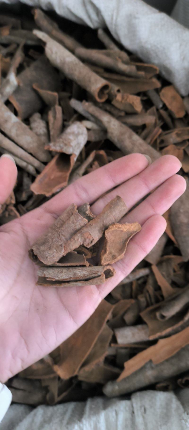 电商桂段碎桂碎味浓肉厚烟柜桂筒各规格有货