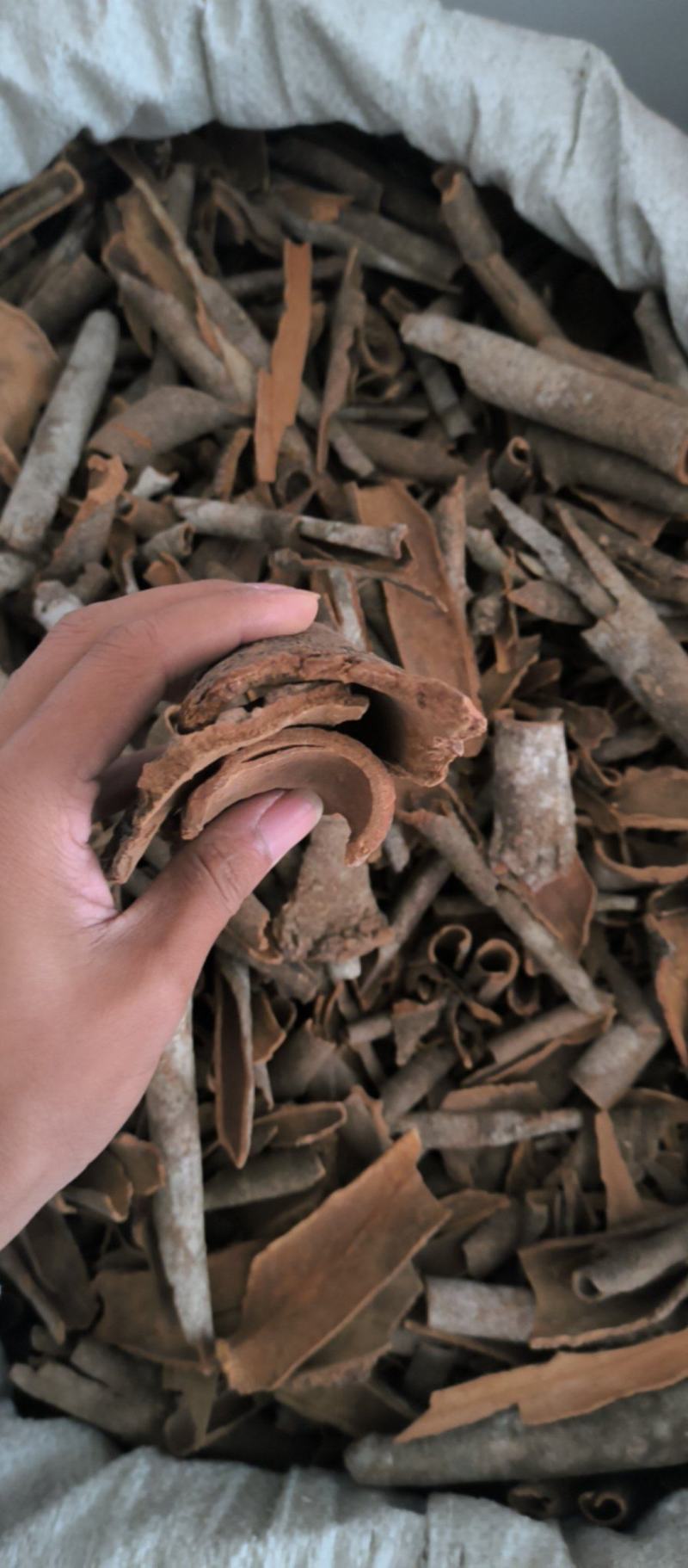 电商桂段碎桂碎味浓肉厚烟柜桂筒各规格有货