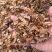分心木核桃夹心冷背奇药材批发