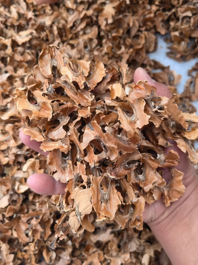 分心木核桃夹心冷背奇药材批发