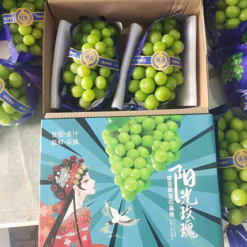 精品阳光玫瑰晴王，基地直发，价格可谈，可对接各大电商等