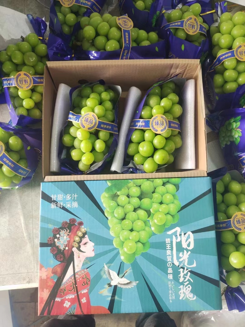 精品阳光玫瑰晴王，基地直发，价格可谈，可对接各大电商等