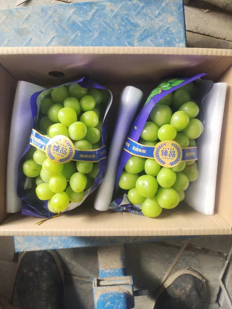 精品阳光玫瑰晴王，基地直发，价格可谈，可对接各大电商等