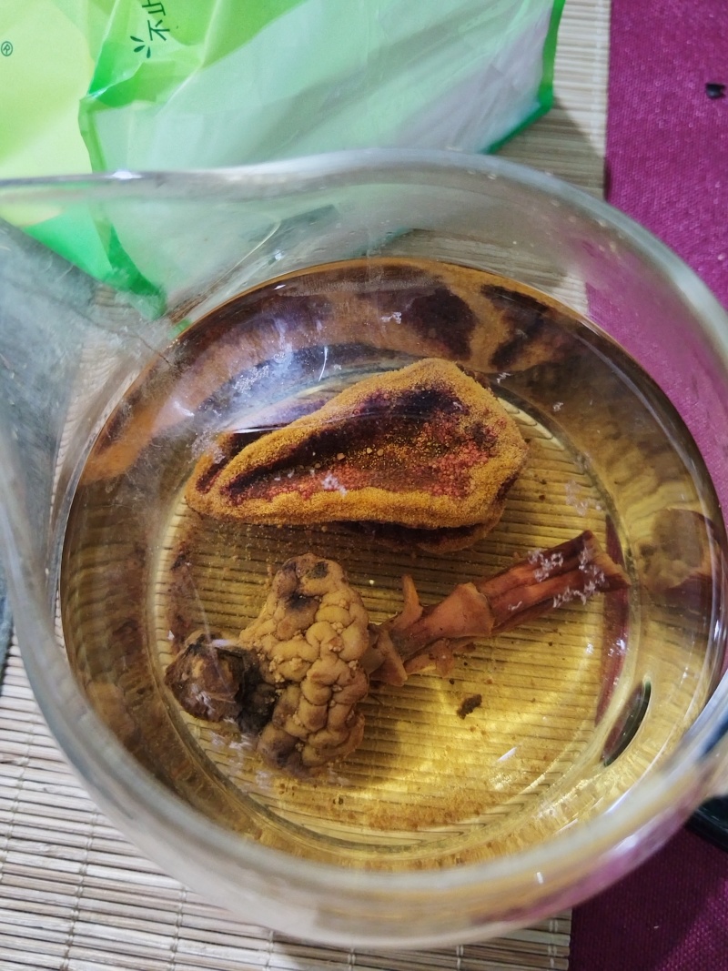 回春草