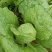 甘肃省平凉市泾川县罗汉洞乡三山园区