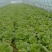 甘肃省平凉市泾川县罗汉洞乡三山园区