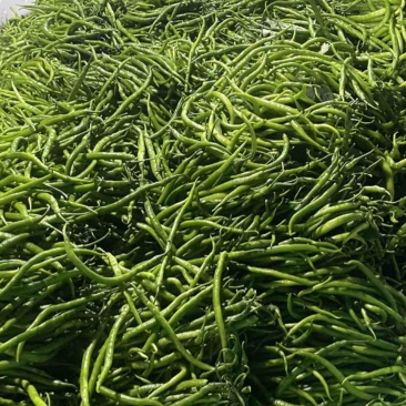 青线大量工厂货电商货