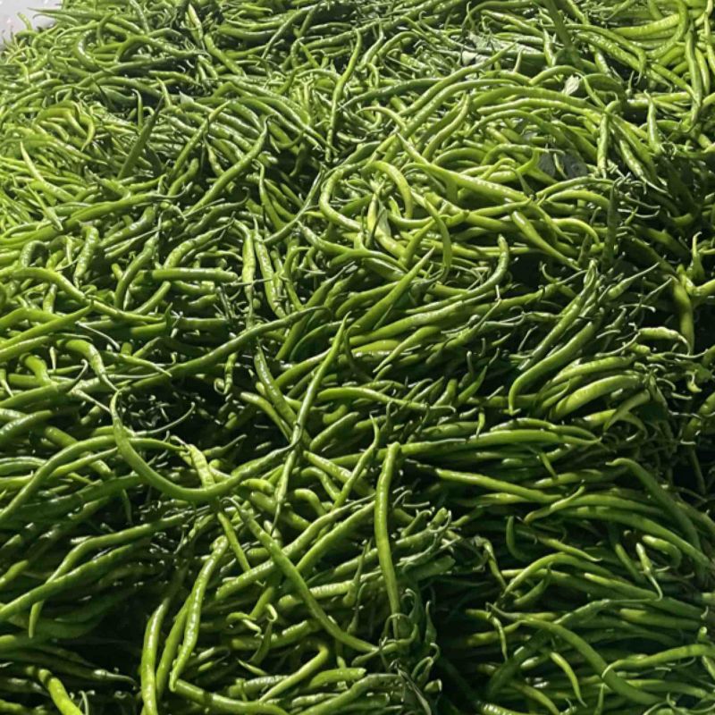 青线大量工厂货电商货