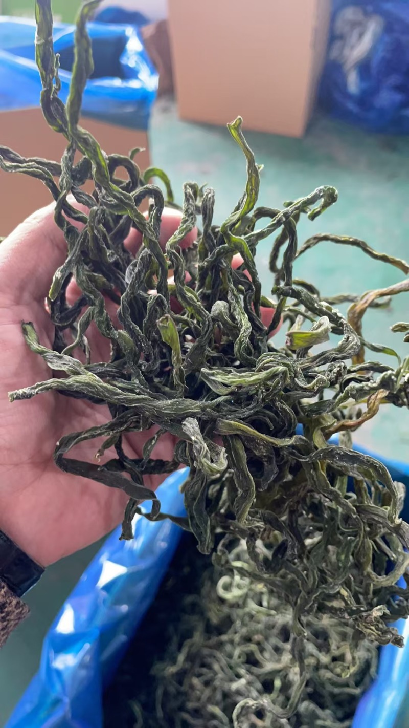 精品架豆