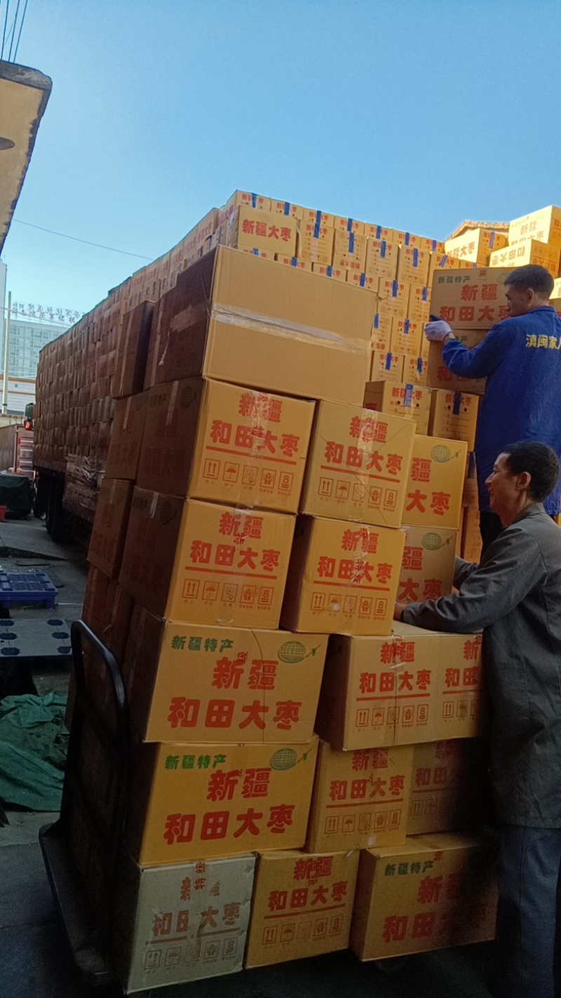 新疆和田大枣皮皮枣电商菌汤包用一手货源大货批发