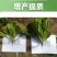 先正达有机水溶肥料果树蔬菜桶装肥冲施肥液体肥生根膨果增甜