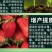 先正达有机水溶肥料果树蔬菜桶装肥冲施肥液体肥生根膨果增甜