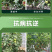 先正达有机水溶肥料果树蔬菜桶装肥冲施肥液体肥生根膨果增甜