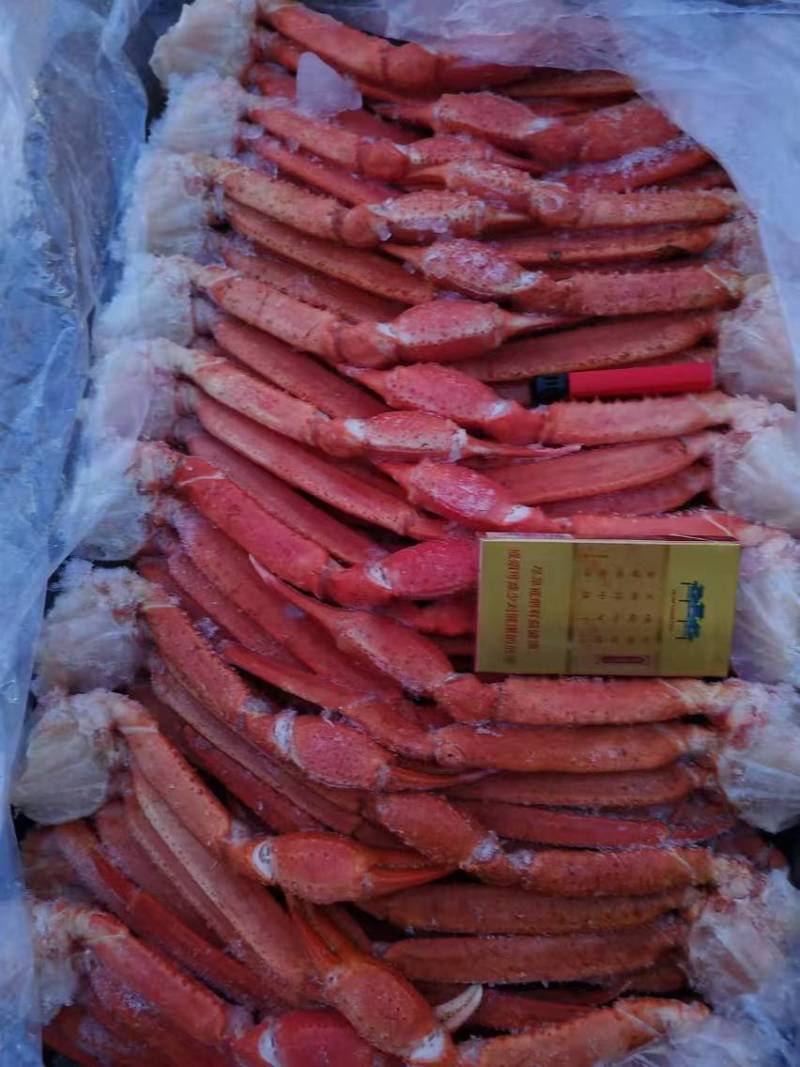 红蟹腿自助餐蟹红蟹腿冻板蟹腿厂家红蟹腿雪蟹腿冻板蟹腿