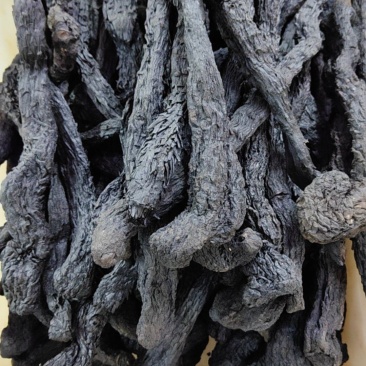 沙漠肉苁蓉阿拉善野生软肉苁蓉原材料肉苁蓉黑龙草泡酒煮水