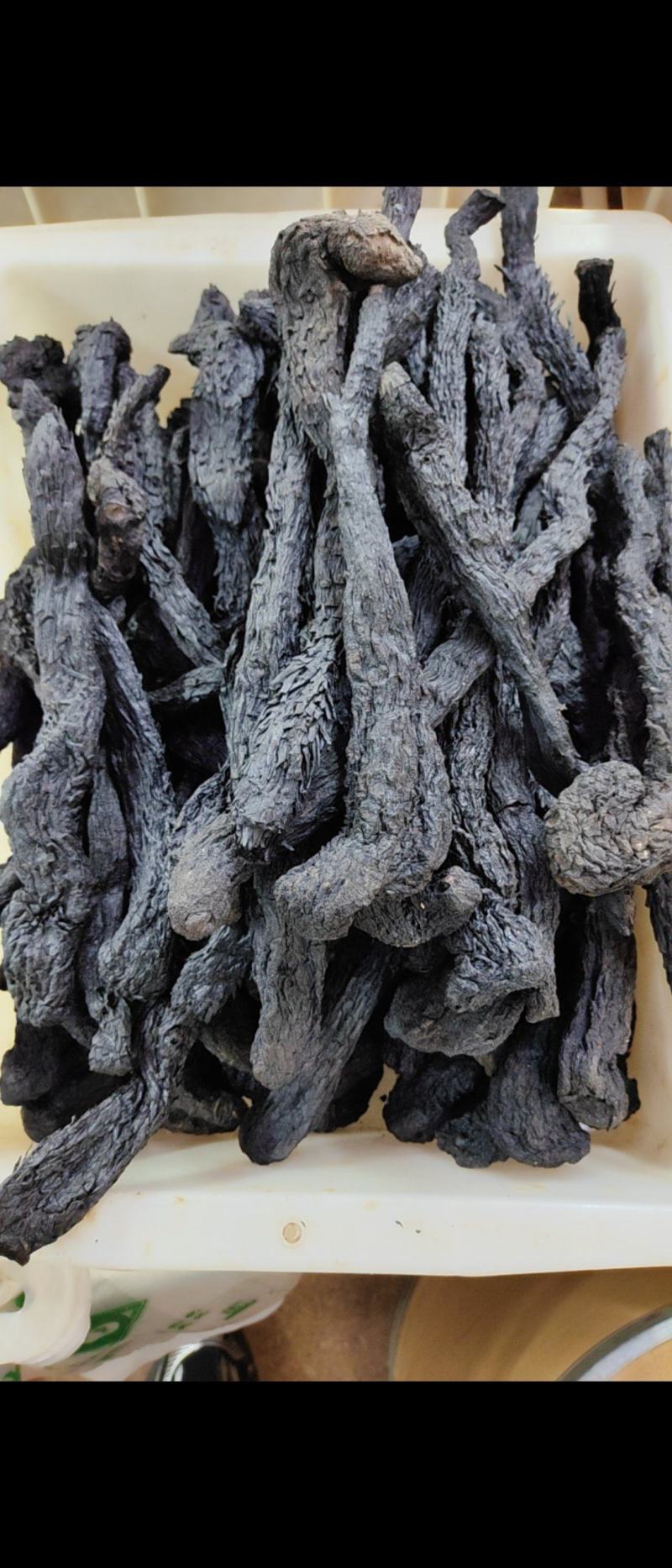 沙漠肉苁蓉阿拉善野生软肉苁蓉原材料肉苁蓉黑龙草泡酒煮水
