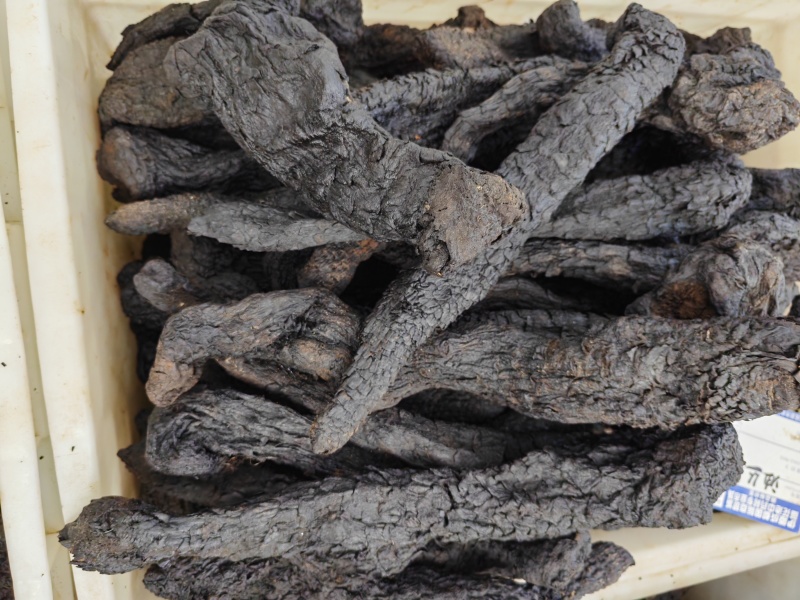 沙漠肉苁蓉阿拉善野生软肉苁蓉原材料肉苁蓉黑龙草泡酒煮水