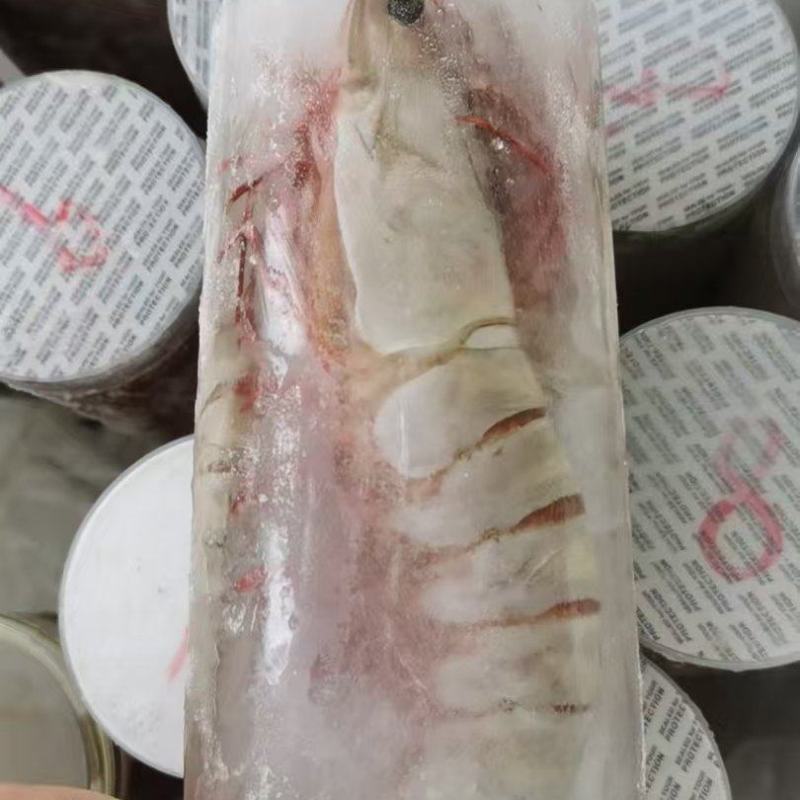 黑虎虾