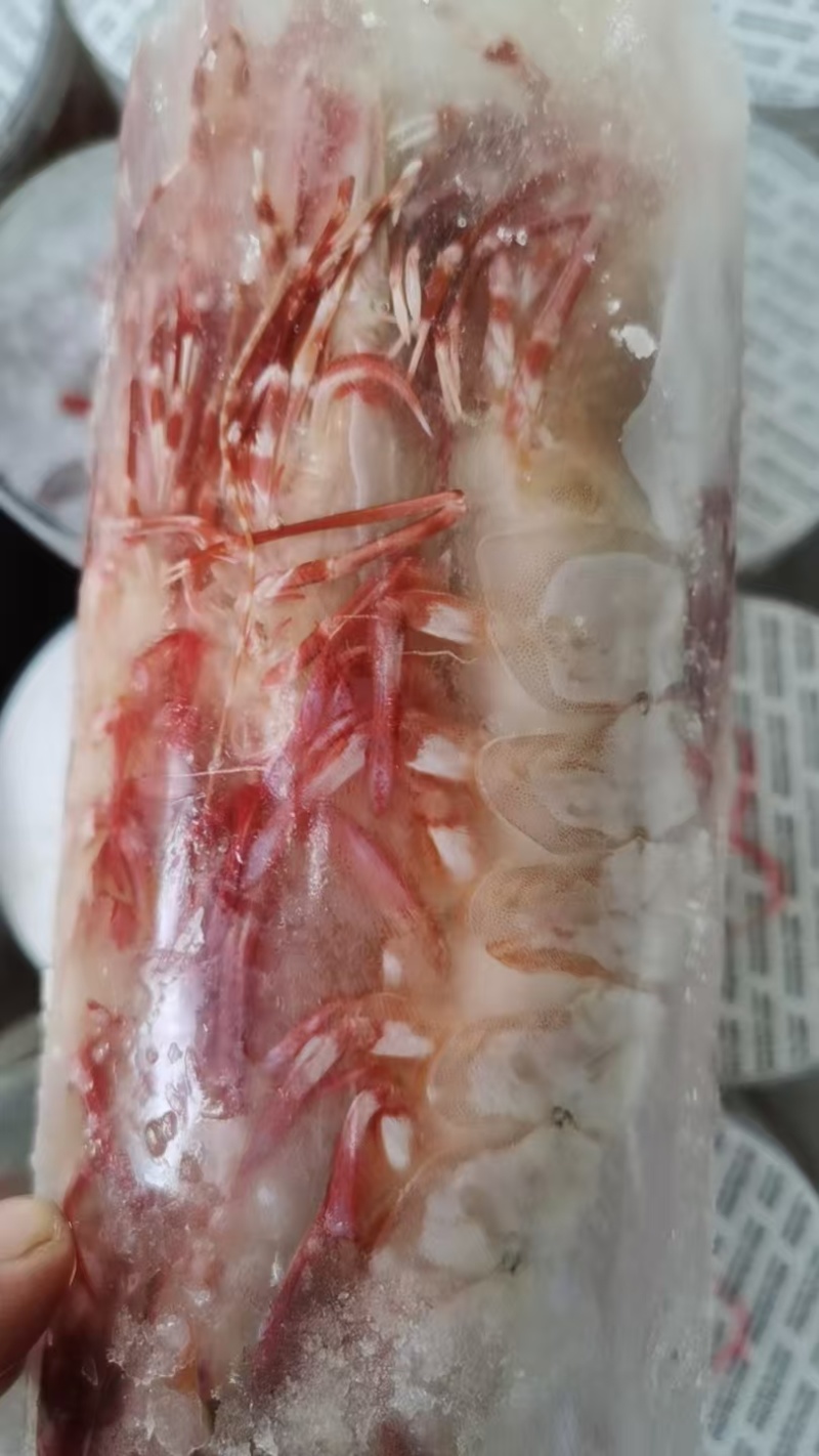 黑虎虾